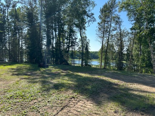 Forested RV sites